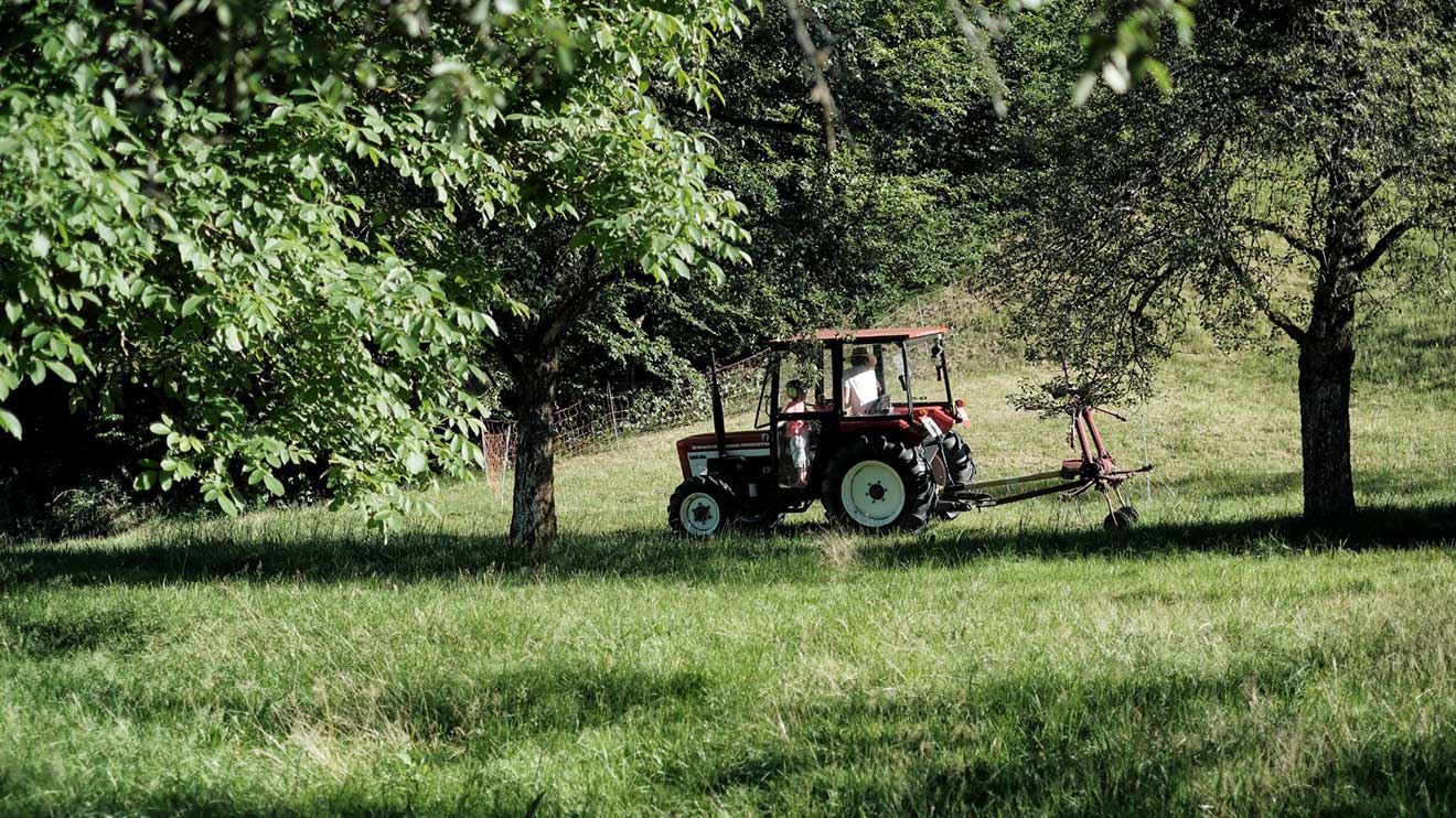 Von den drei Hektar Land, die unsere Landwirtschaft umfasst, konnte früher die ganze Familie leben. Heutzutage ist das kaum noch vorstellbar.