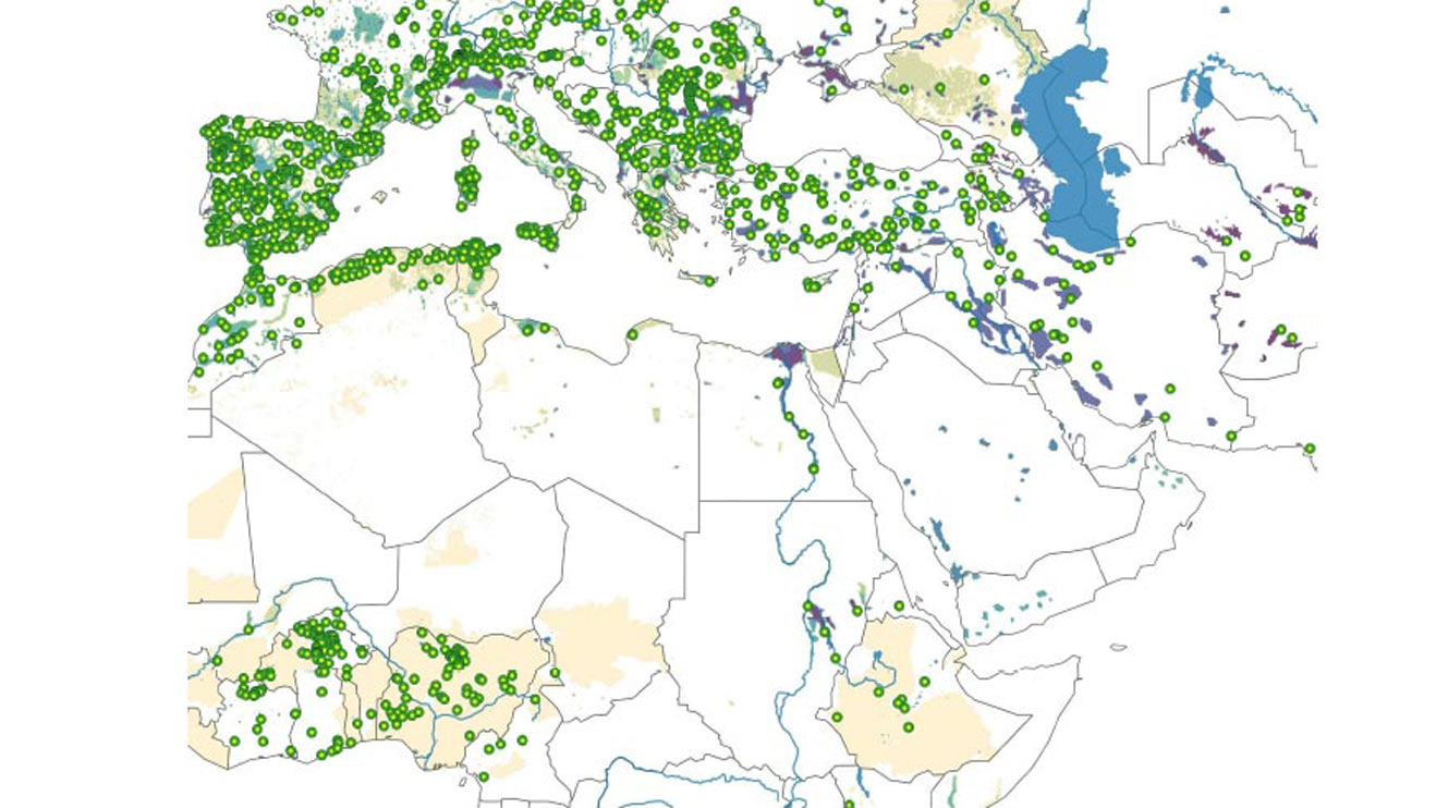 Die Beobachtung von Wüsten- und Waldgebieten über Satelliten liefert wichtige Daten für jeden nächsten Entwicklungsschritt.