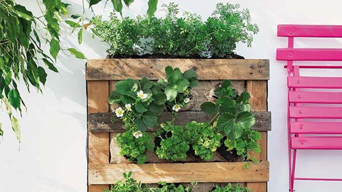 Für Selbermacher gibt es börsel-schonende Alternativen. Auch eine an der Wand befestigte Holz-Palette eignet sich perfekt als Vertical Garden.